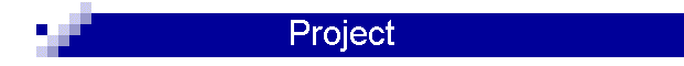 Project