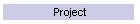 Project